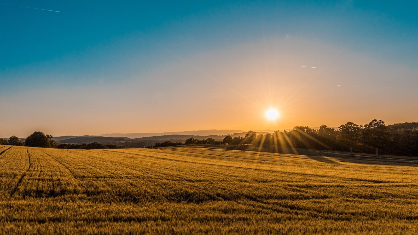 Akkerland in de provincie Utrecht bij zonsondergang